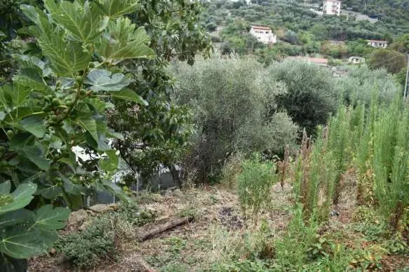 Casa Indipendente strada San Giovanni, Sanremo