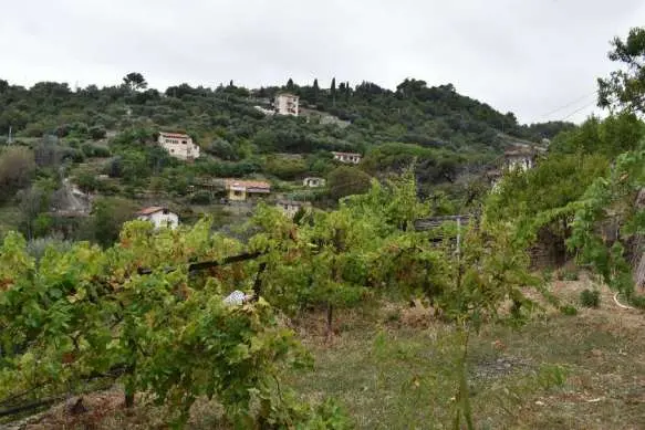 Casa Indipendente strada San Giovanni, Sanremo