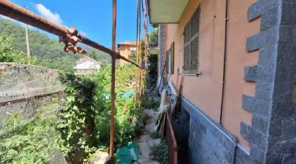 Appartamento 99, Bargagli