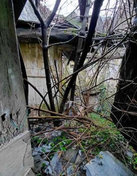 Rustico via Piazze 21, Tribogna