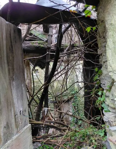 Rustico via Piazze 21, Tribogna