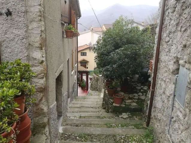 Immagine per Appartamento in asta a Maissana via Roma 26