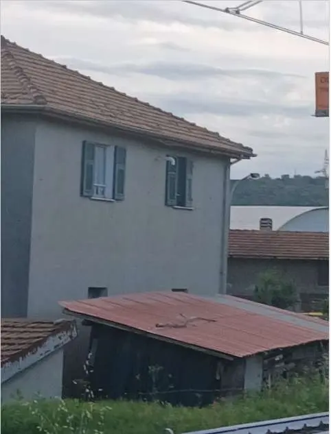 Immagine per Appartamento in asta a Cairo Montenotte corso Guglielmo Marconi 168