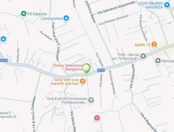 Appartamento via Roma 248, Mascalucia