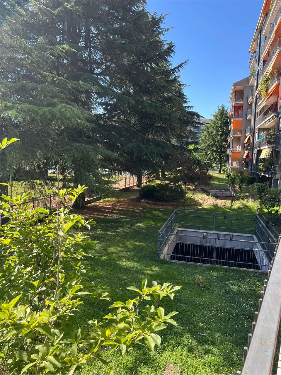 Immagine per Appartamento in vendita a Grugliasco via Severino Doppi