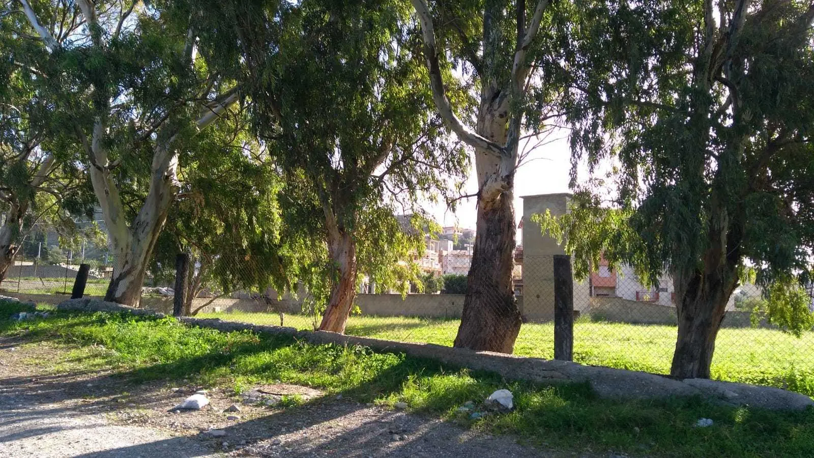 Immagine per Industriale in vendita a Motta San Giovanni via Ss 106 km