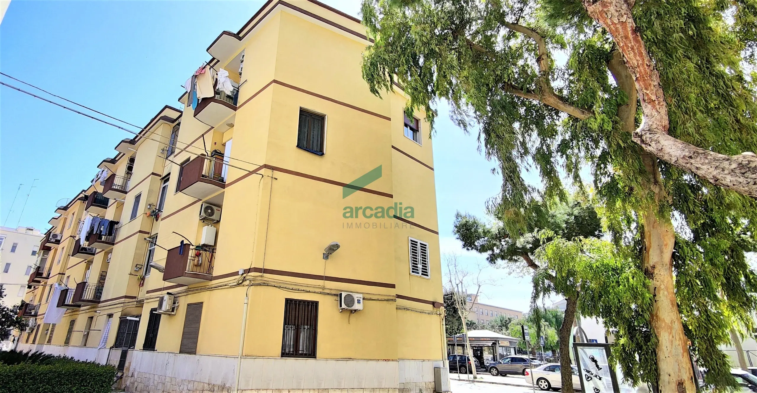 Immagine per Trilocale in vendita a Bari via Peucetia 72