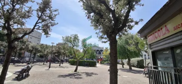 Immagine per Trilocale in vendita a Bari via Peucetia 72