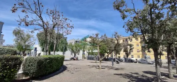 Immagine per Trilocale in vendita a Bari via Peucetia 72