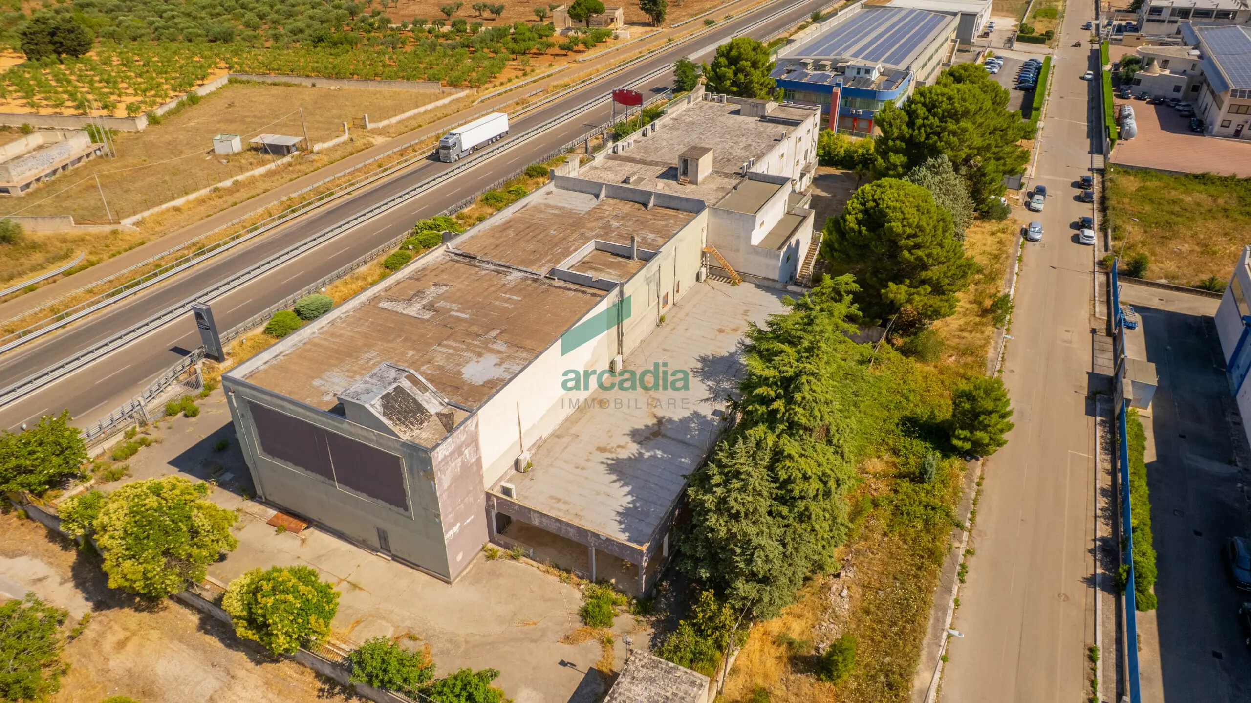 Immagine per Commerciale in vendita a Sammichele di Bari via Km 31 800