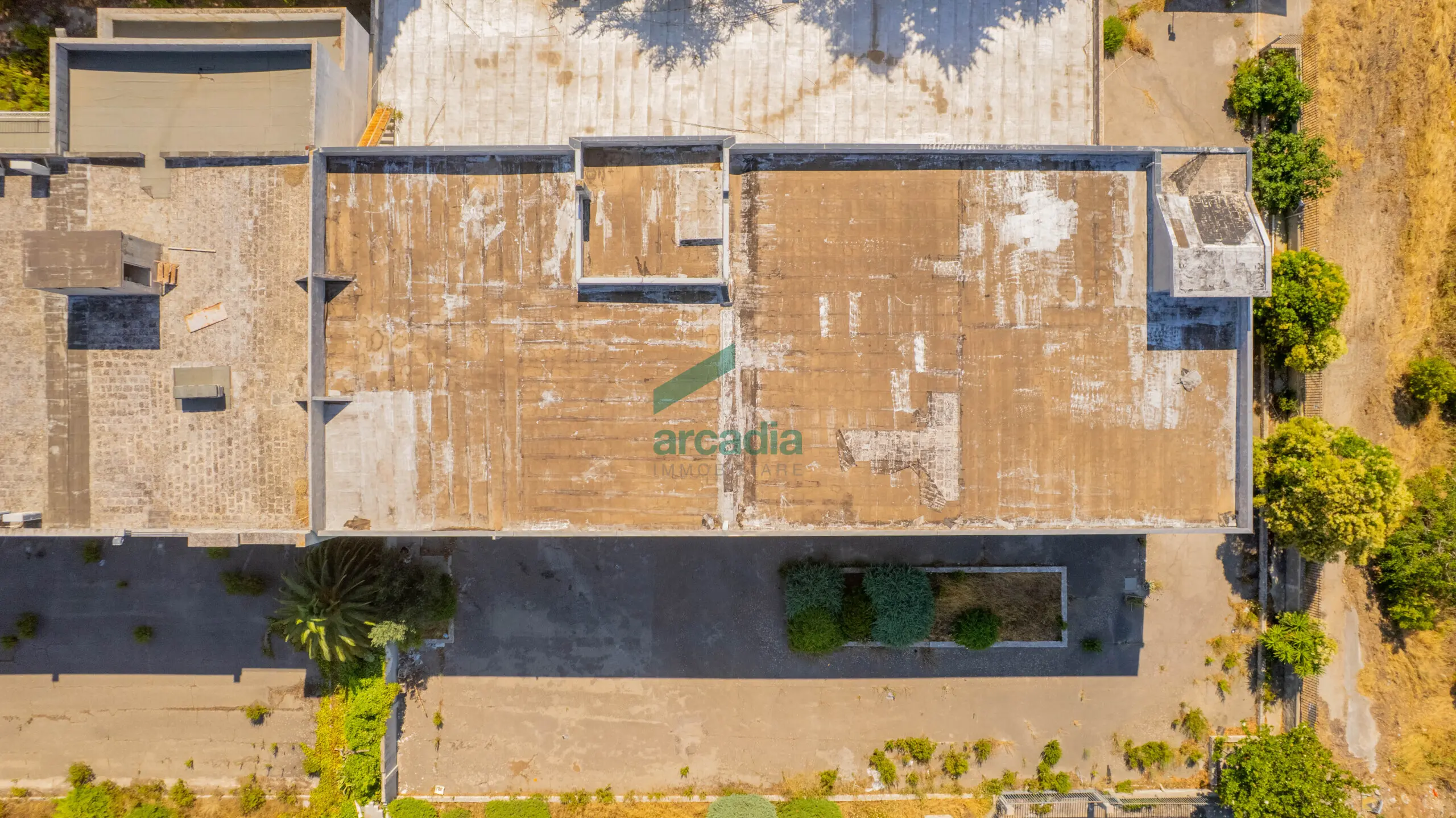 Immagine per Commerciale in vendita a Sammichele di Bari via Km 31 800