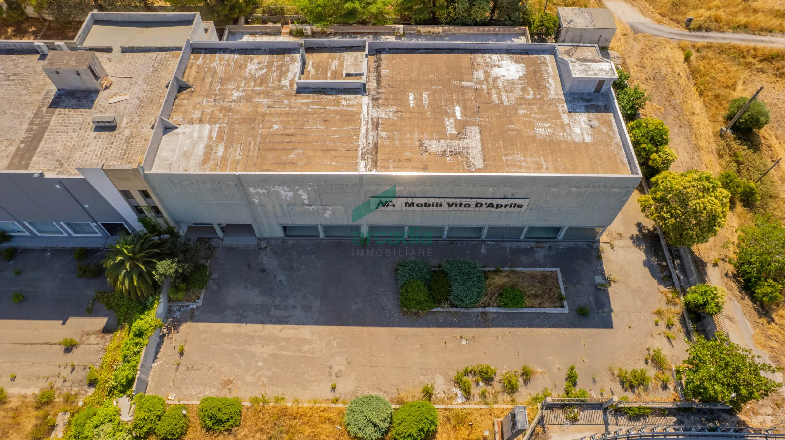 Immagine per Commerciale in vendita a Sammichele di Bari via Km 31 800