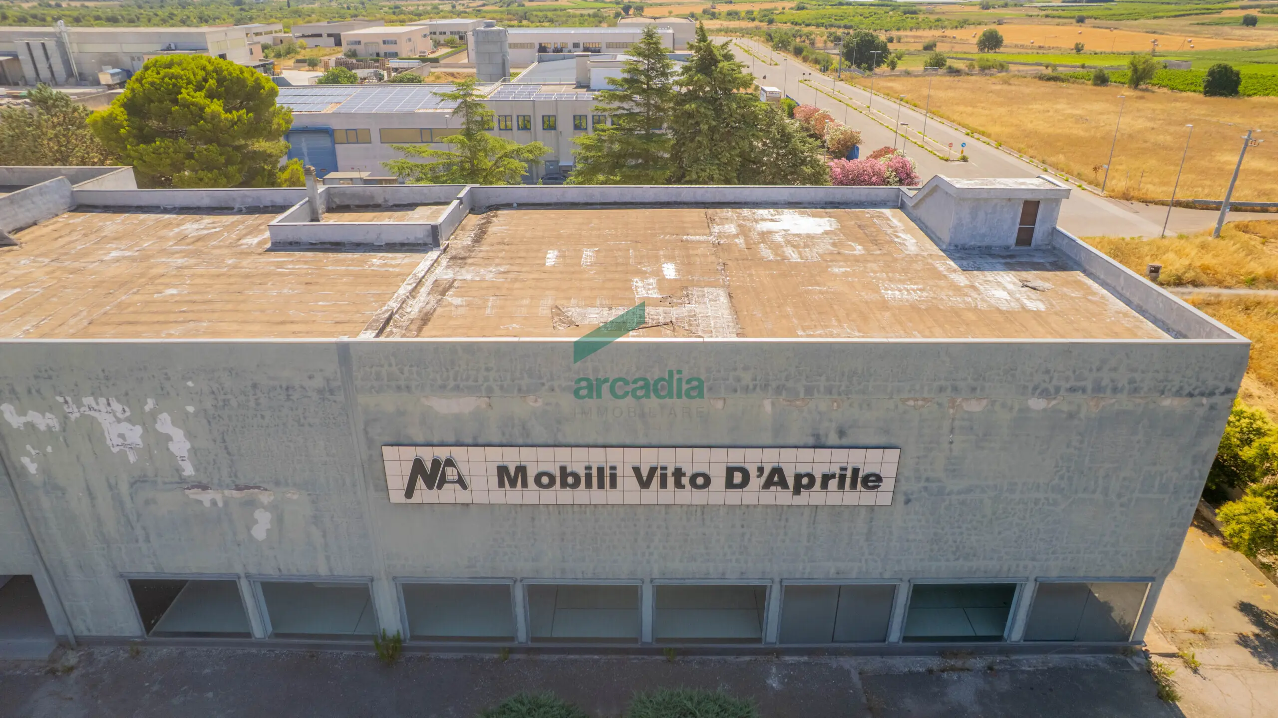 Immagine per Commerciale in vendita a Sammichele di Bari via Km 31 800