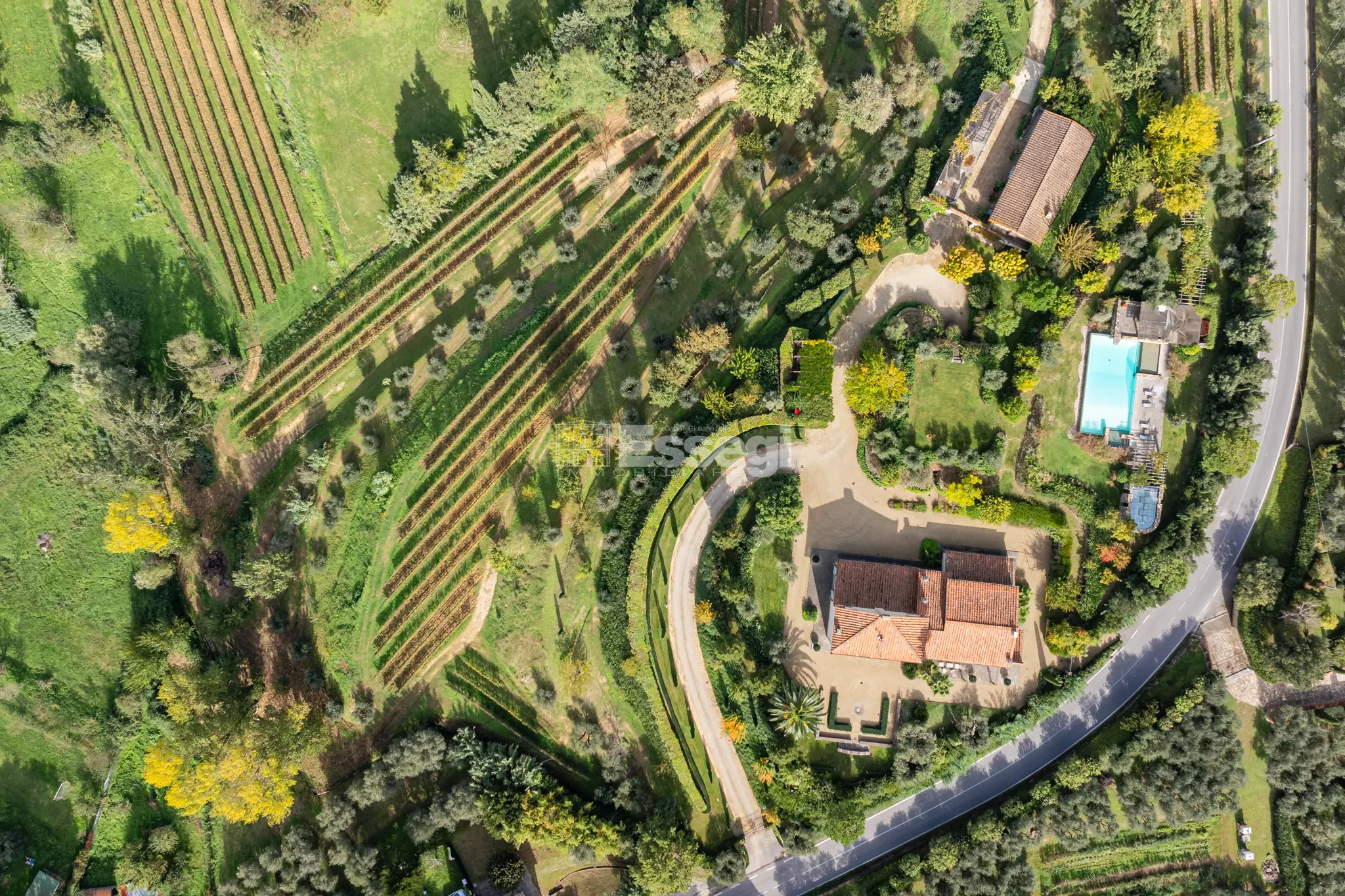 Immagine per Villa in vendita a Montecarlo via Di Montechiari