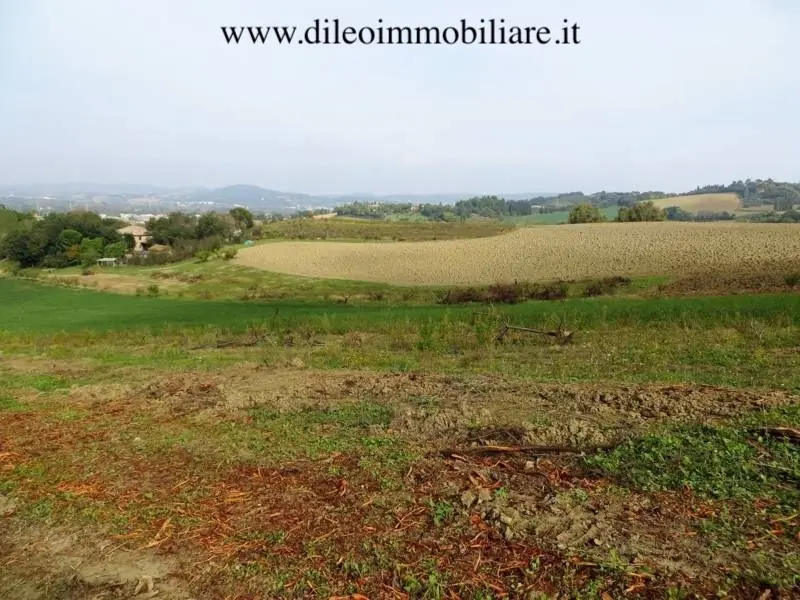 Immagine per Azienda agricola in vendita a Pesaro strada Di Fagnano