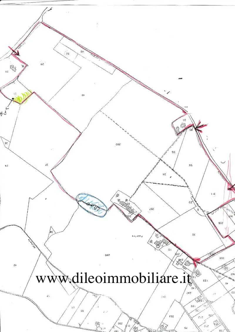 Immagine per Azienda agricola in vendita a Pesaro strada Di Fagnano