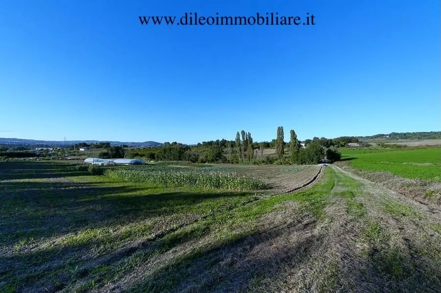 Immagine per Azienda agricola in vendita a Pesaro strada Di Fagnano