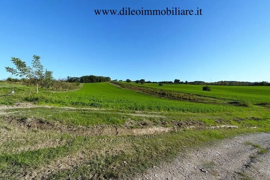Immagine per Casale in vendita a Pesaro strada Di Fagnano