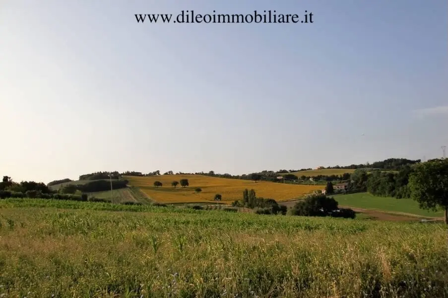 Immagine per Casale in vendita a Pesaro strada Di Fagnano