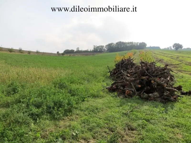 Immagine per Casale in vendita a Pesaro strada Di Fagnano