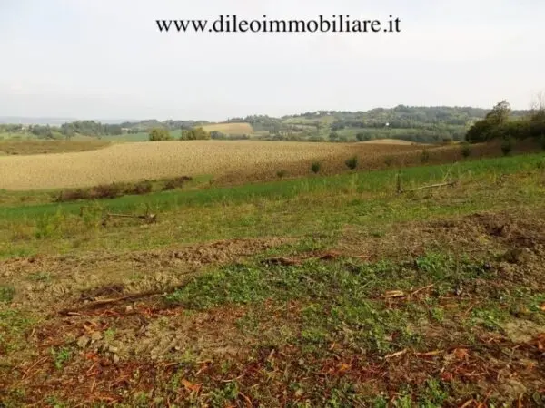 Casale strada Di Fagnano, Pesaro