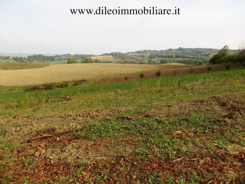 Immagine per Casale in vendita a Pesaro strada Di Fagnano