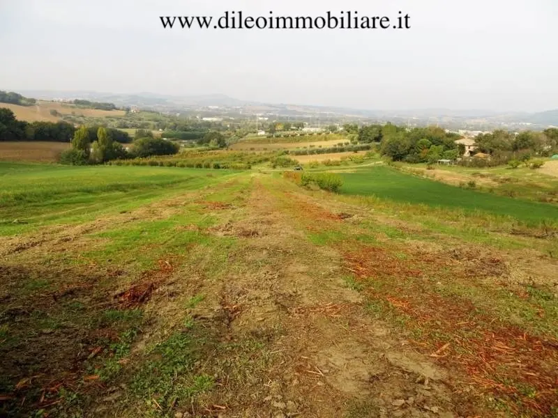 Immagine per Casale in vendita a Pesaro strada Di Fagnano