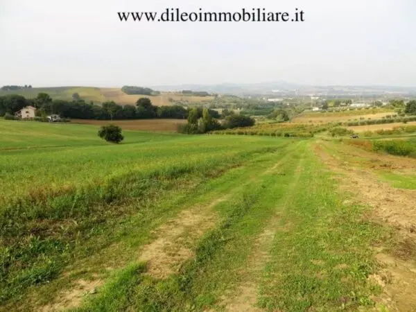 Casale strada Di Fagnano, Pesaro