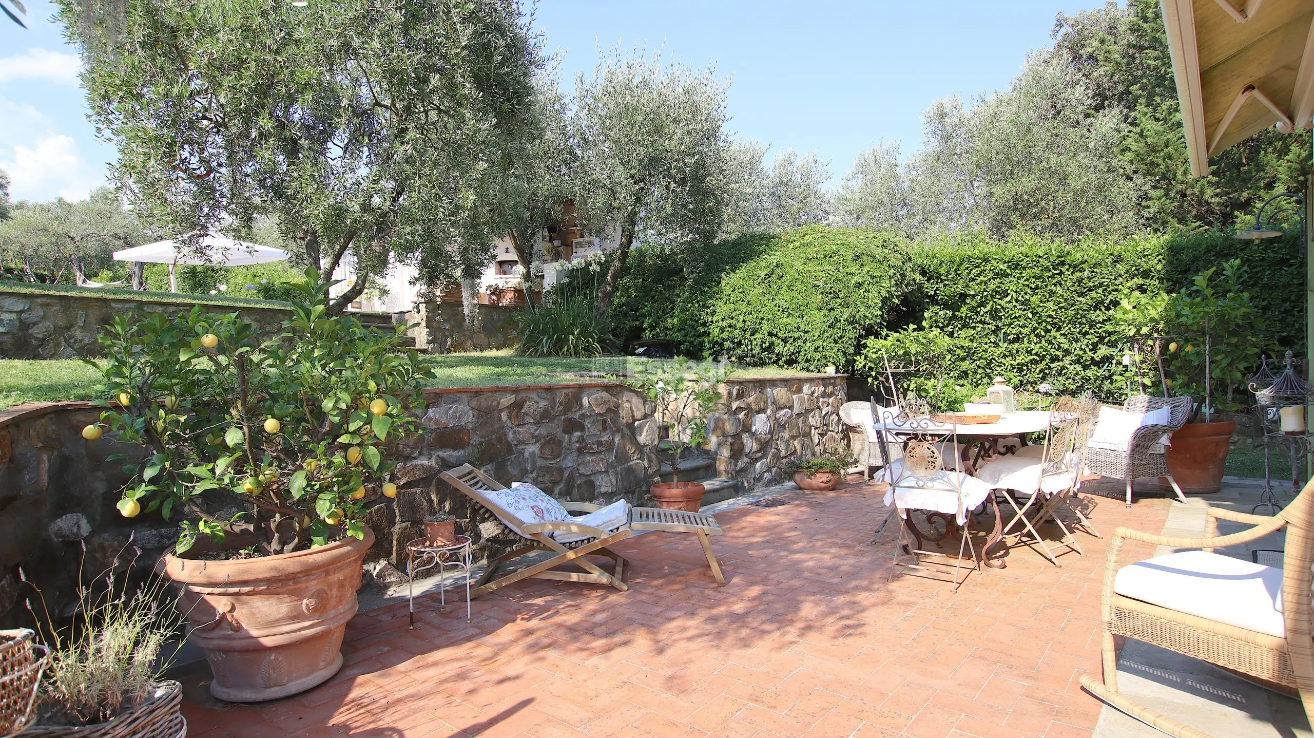 Immagine per Casale in vendita a Lucca via Delle Vigne