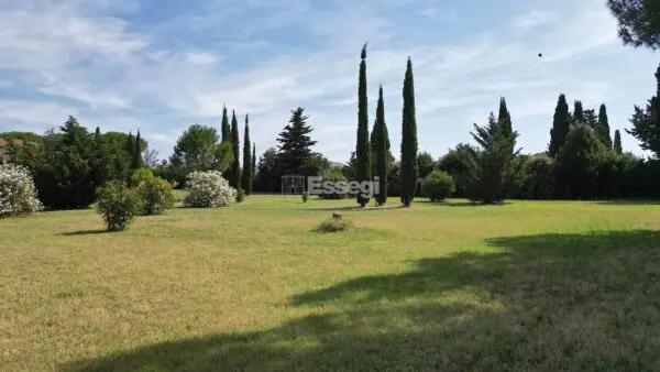 Casale via Gorizia 39, Cecina