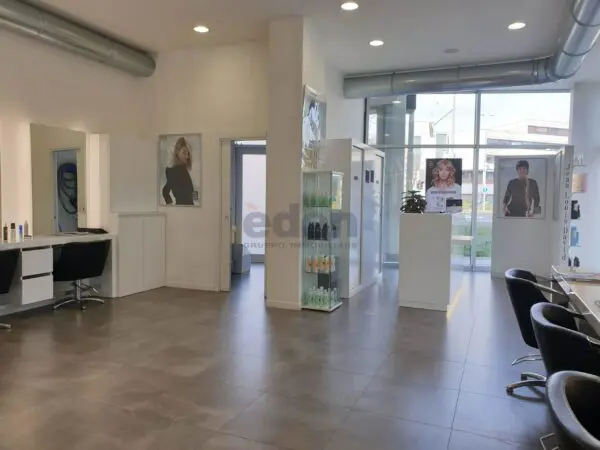 Negozio viale Gaetano Storchi 513, Modena