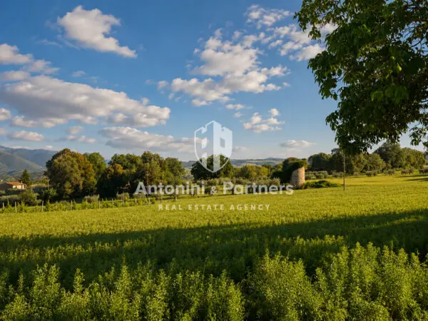 Immagine per Terratetto in vendita a Massa Martana via Vocabolo Capertame