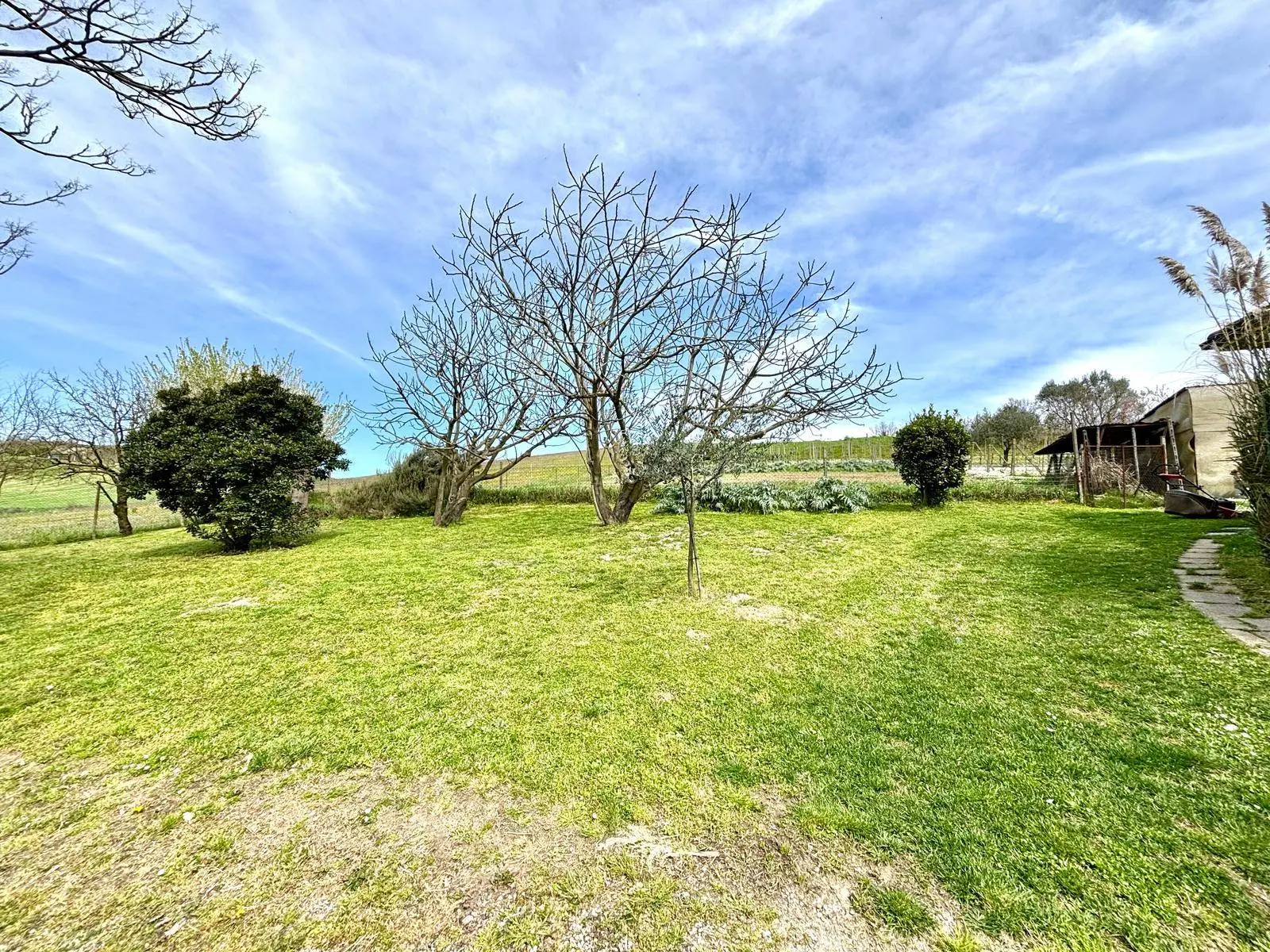 Immagine per Villa in vendita a Alessandria  