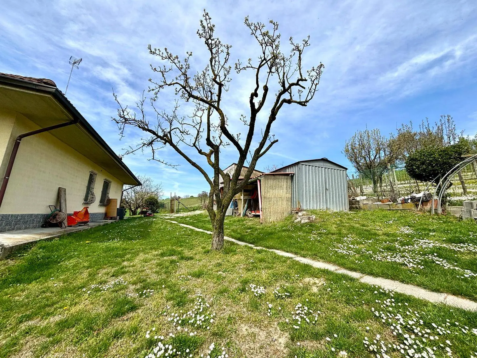 Immagine per Villa in vendita a Alessandria  