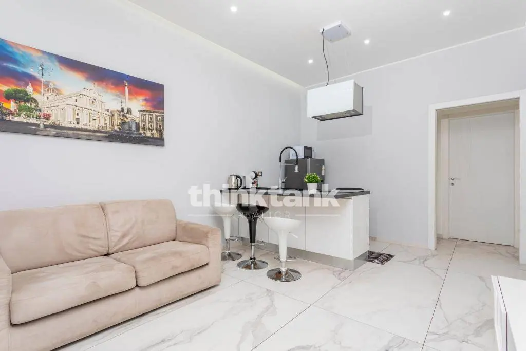 Immagine per Appartamento in vendita a Catania Via Santa Maria Dell'aiuto 