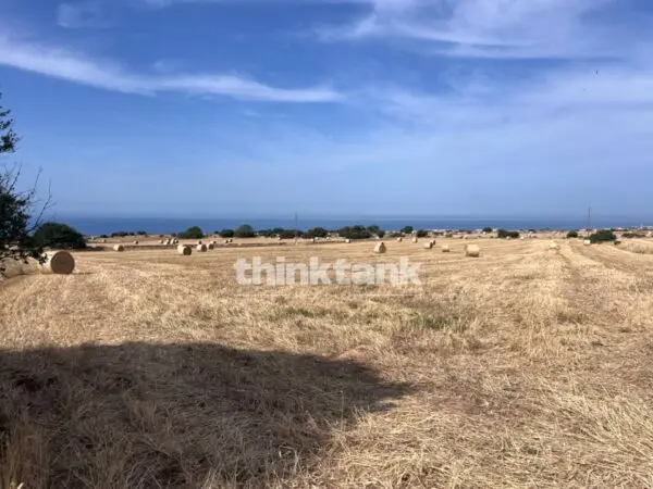 Terreno Agricolo via Contrada Mangiabove, Ragusa