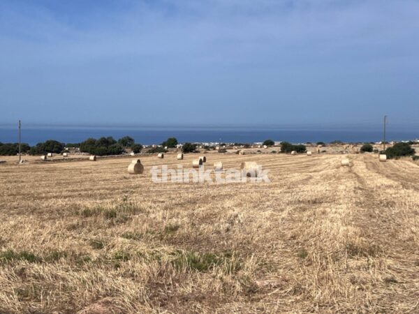 Immagine per Terreno Agricolo in vendita a Ragusa Contrada Mangiabove 