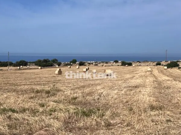 Terreno Agricolo via Contrada Mangiabove, Ragusa