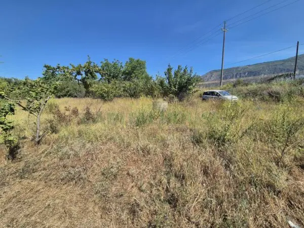 Immagine per Terreno Agricolo in vendita a Massa di Somma via palma 