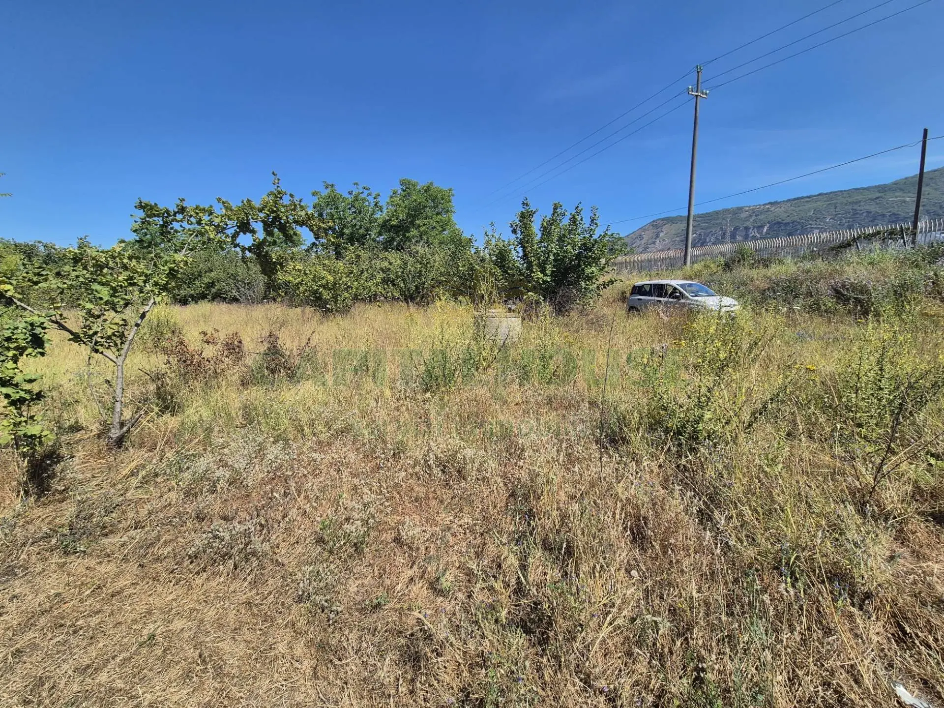 Immagine per Terreno Agricolo in vendita a Massa di Somma via palma 