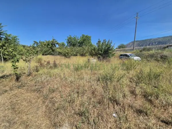 Immagine per Terreno Agricolo in vendita a Massa di Somma via palma 