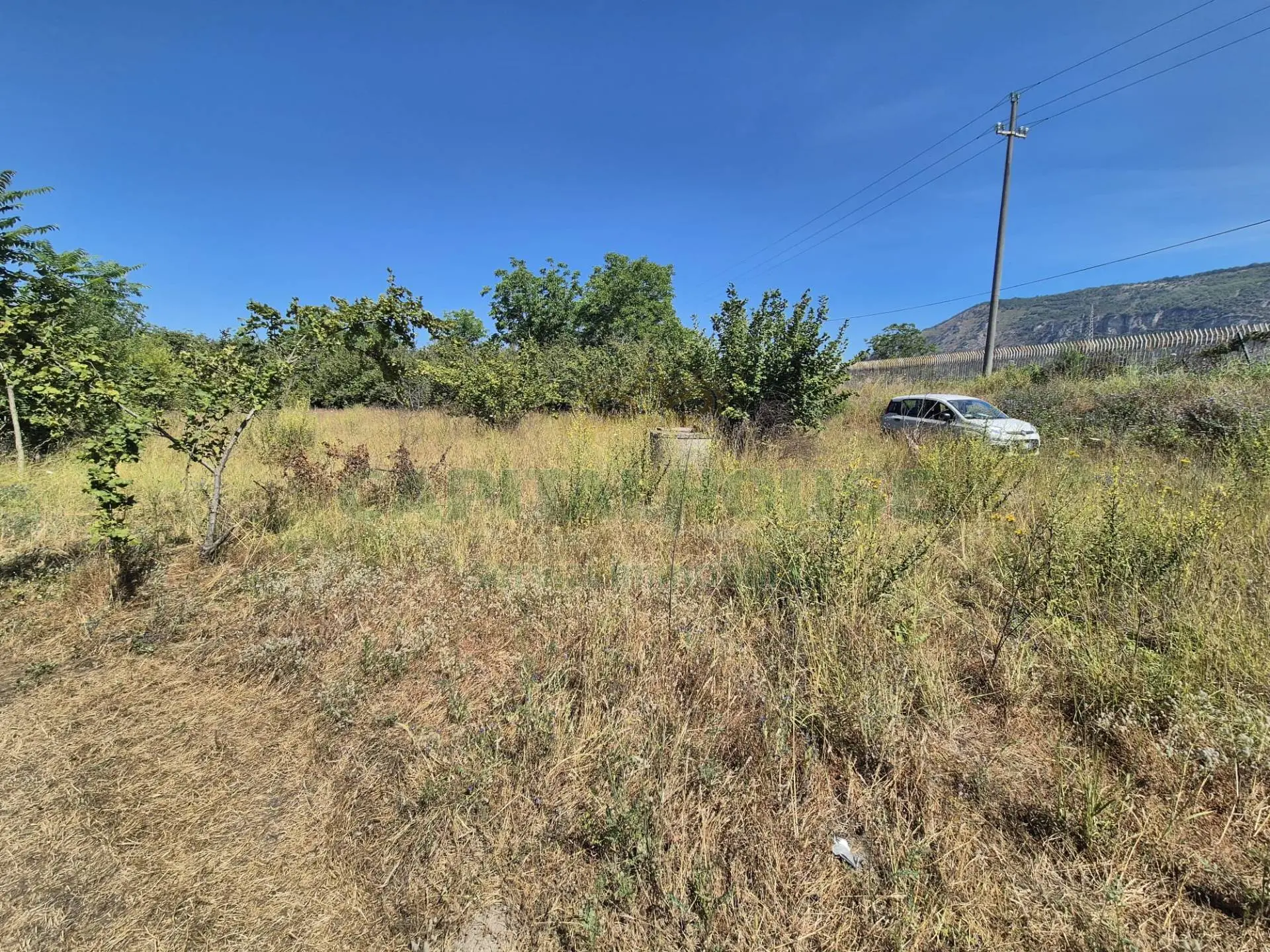 Immagine per Terreno Agricolo in vendita a Massa di Somma via palma 