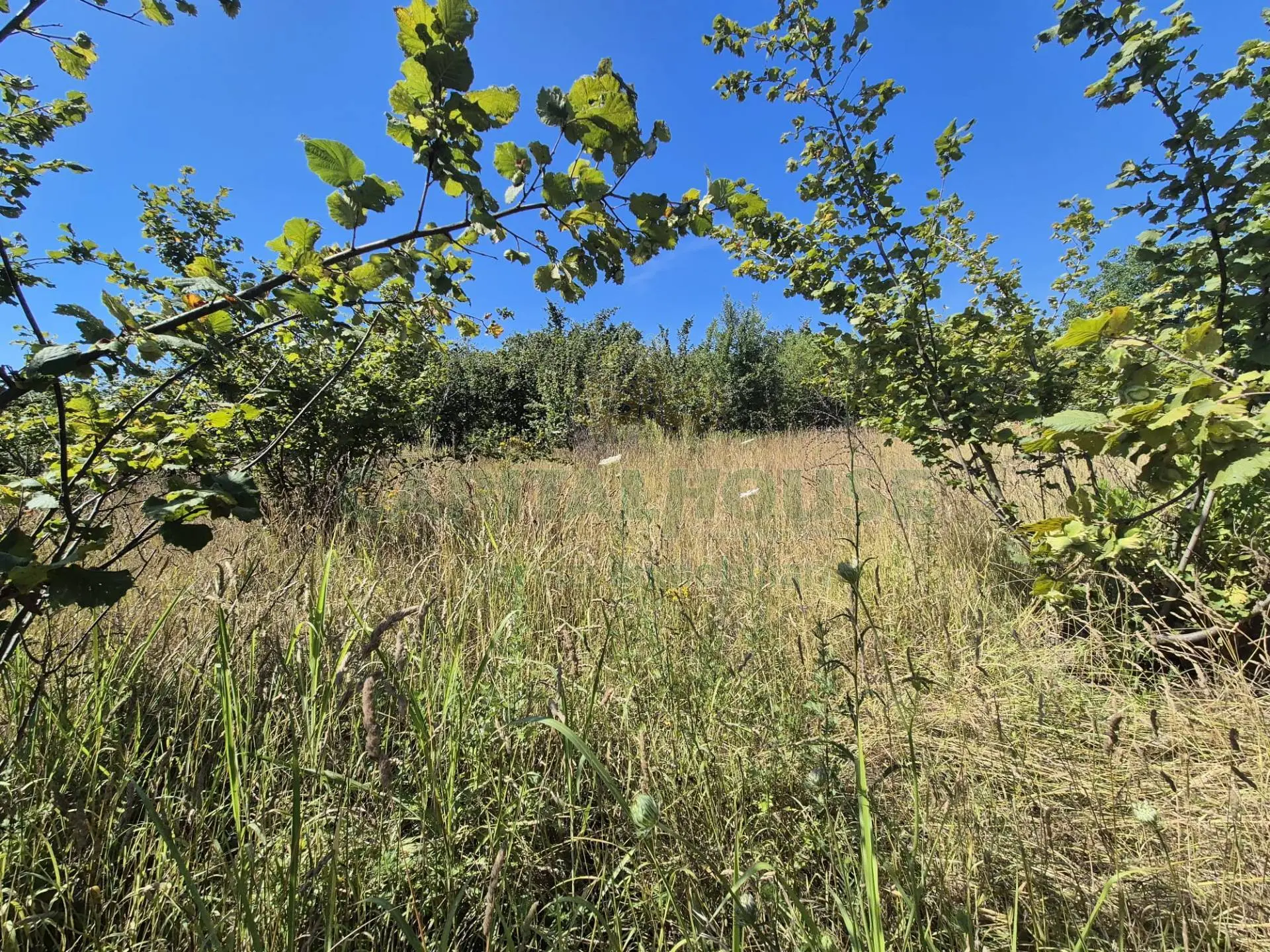 Immagine per Terreno Agricolo in vendita a Massa di Somma via palma 