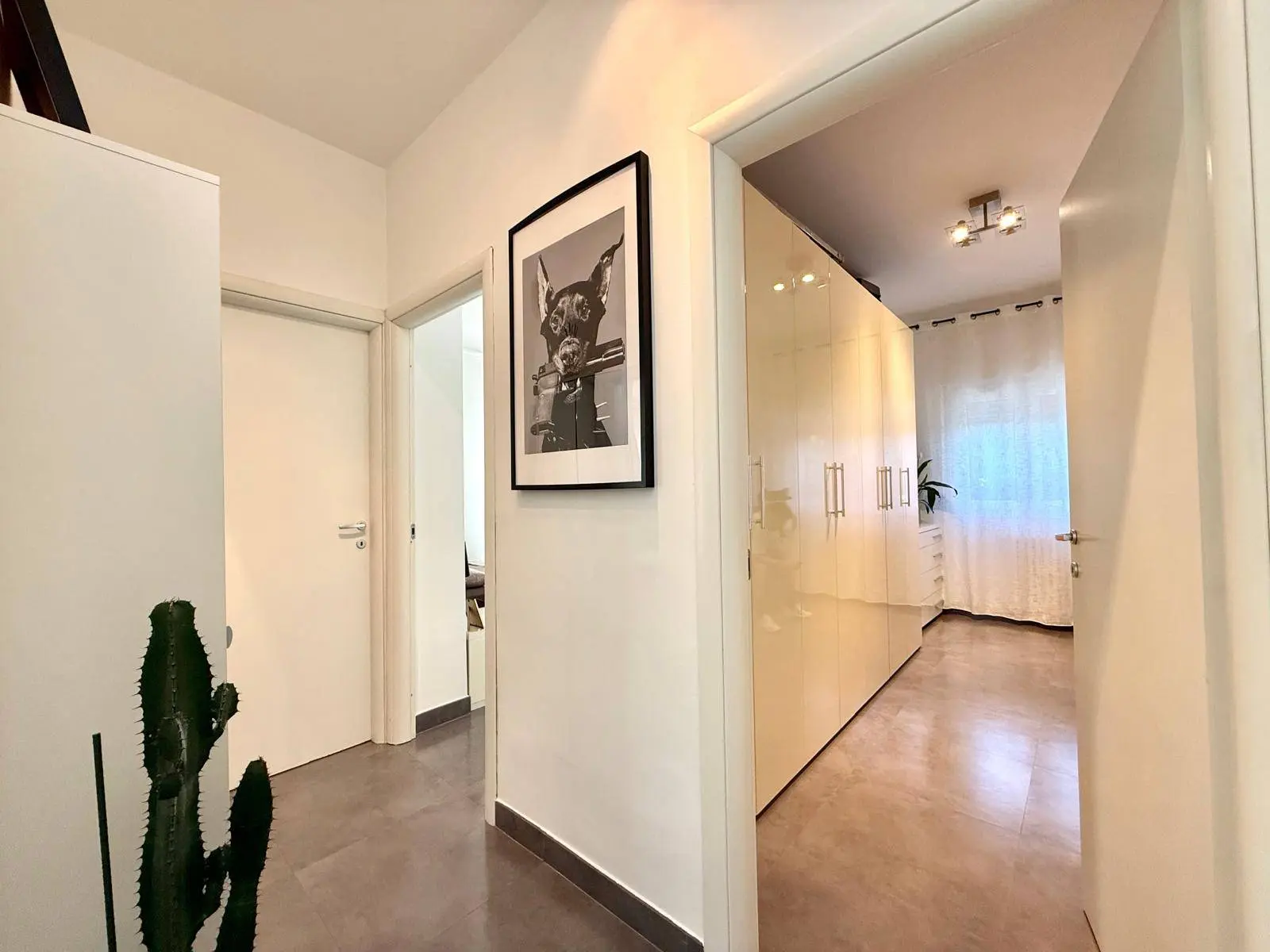 Immagine per Appartamento in vendita a Alessandria  