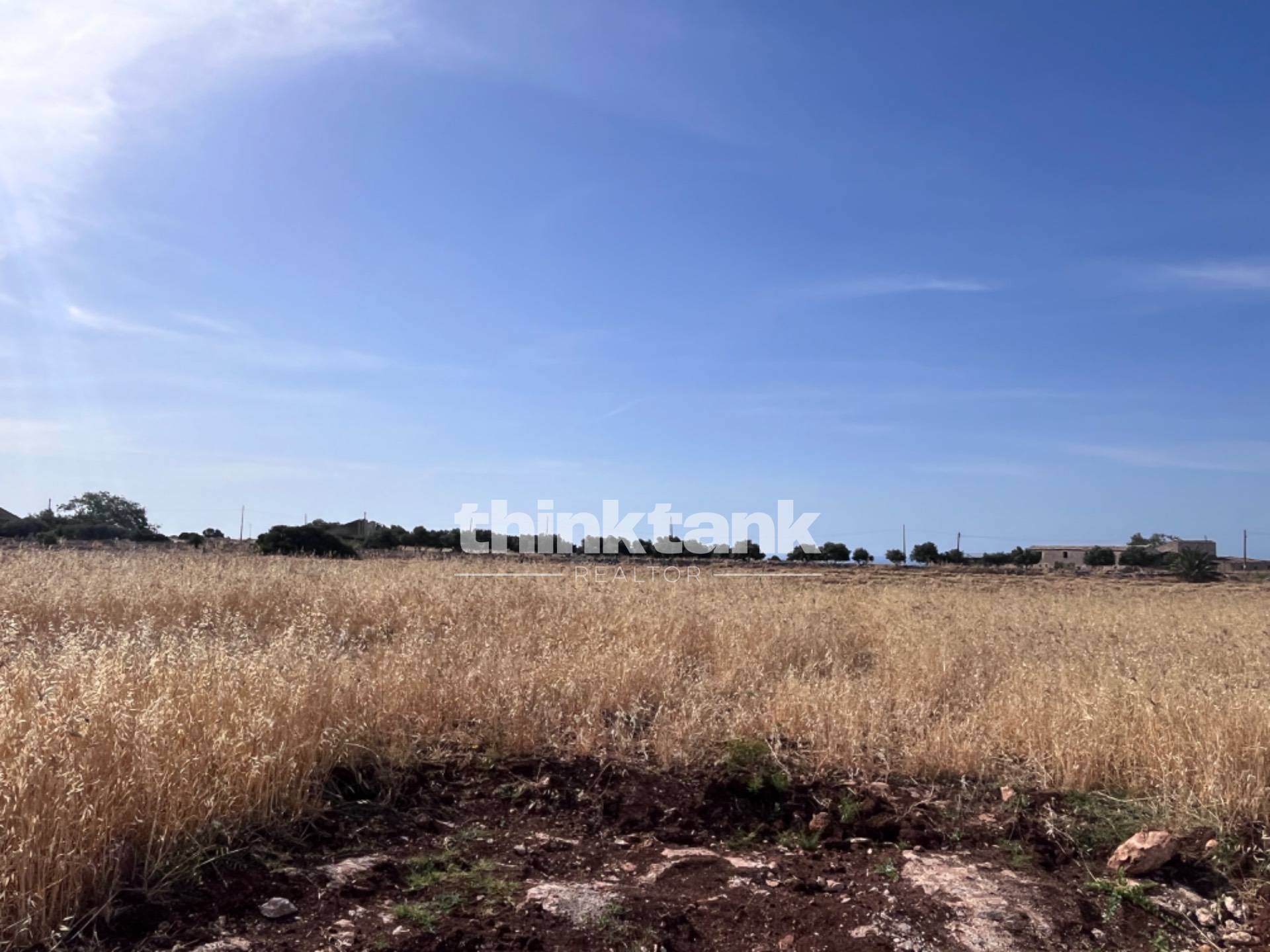 Immagine per Terreno Agricolo in vendita a Ragusa sp 25 
