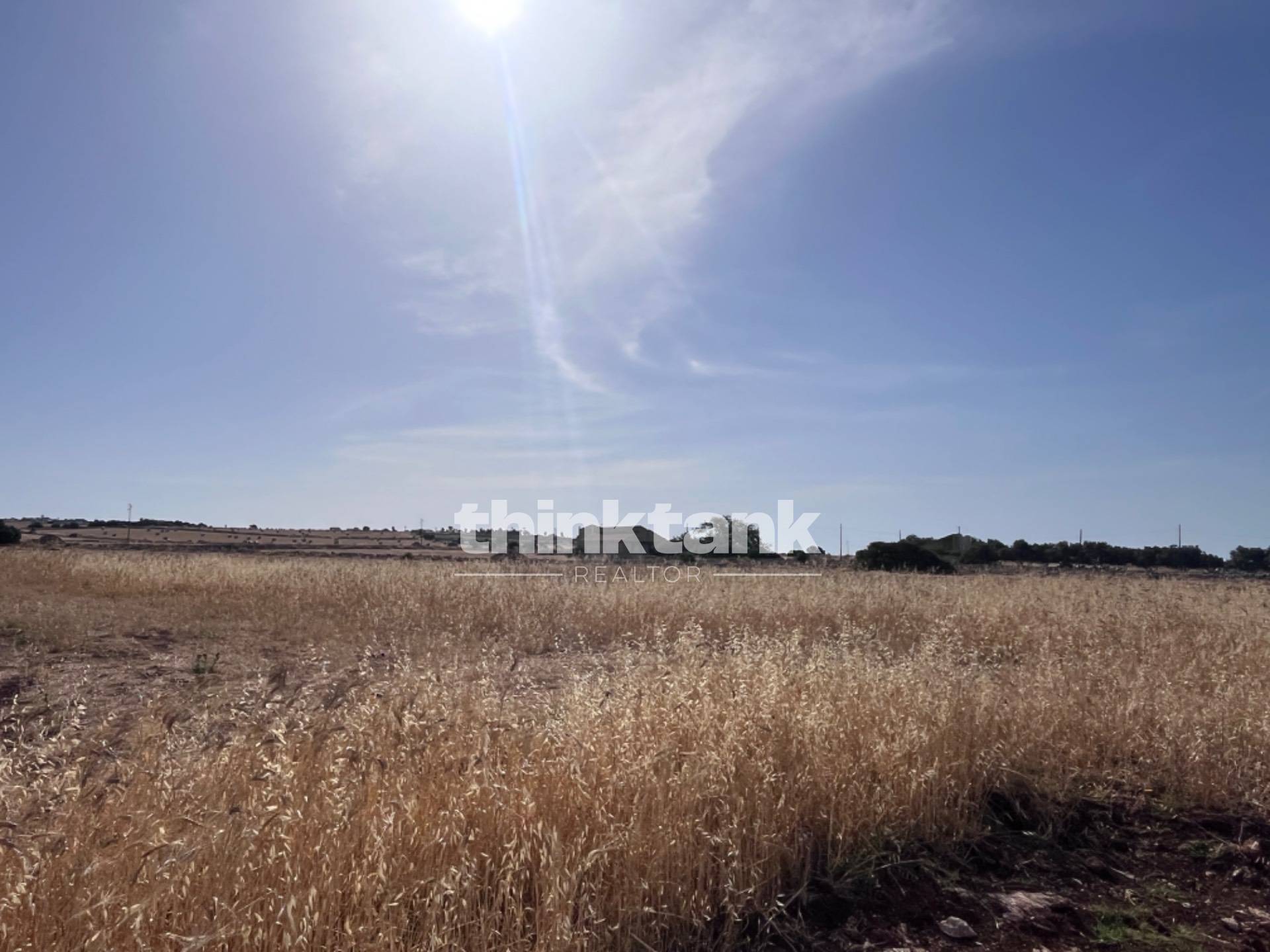 Immagine per Terreno Agricolo in vendita a Ragusa sp 25 