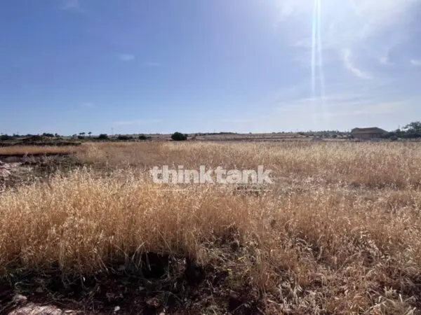 Terreno Agricolo via Sp 25, Ragusa