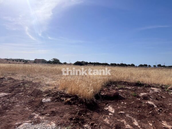 Immagine per Terreno Agricolo in vendita a Ragusa sp 25 
