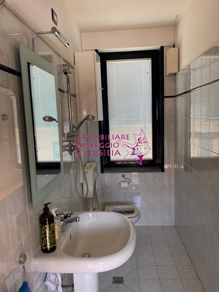 Immagine per Ufficio in affitto a Viareggio via Coppino 100