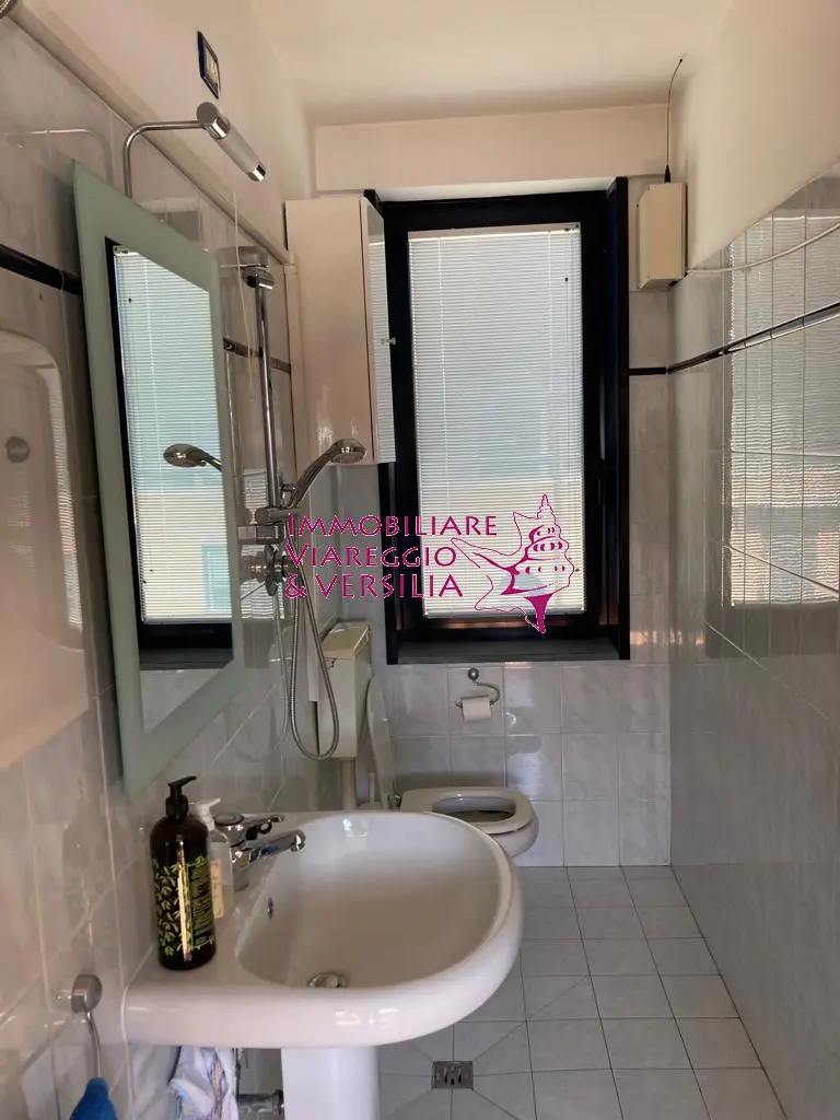 Immagine per Ufficio in affitto a Viareggio via Coppino 100